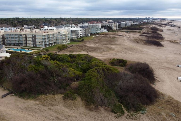 Evasión: detectaron en Pinamar y Cariló más de 100 casas y edificios de lujo que figuraban como baldíos | Actualidad