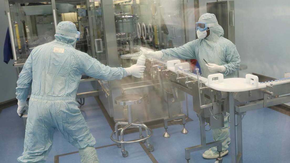 "NeoCov": el nuevo coronavirus hallado en murciélagos que podría saltar a los humanos | Internacionales