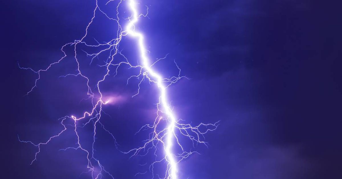 Un "megarrayo", que recorrió Uruguay y Argentina, tiene el nuevo récord mundial de duración | Clima, naturaleza y medio ambiente