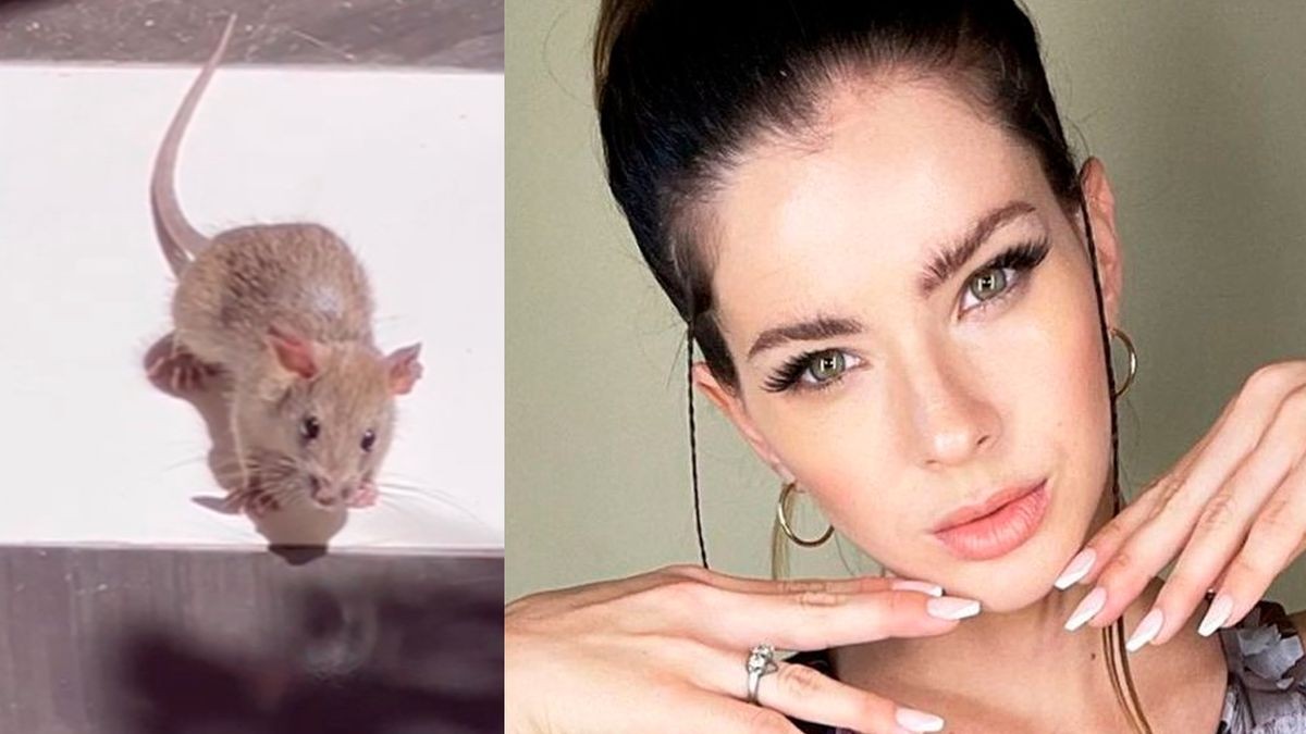 La particular reacción de la China Suárez al ver una rata en su casa | Espectáculos