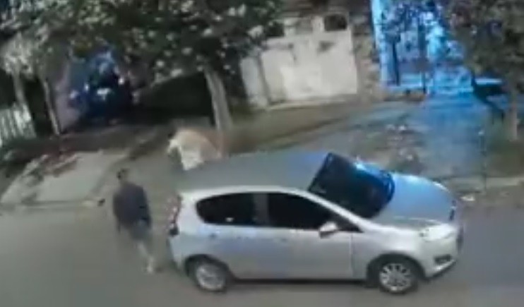 Ladrones armados desvalijaron la casa de una mujer: al irse, le pidieron perdón | Actualidad