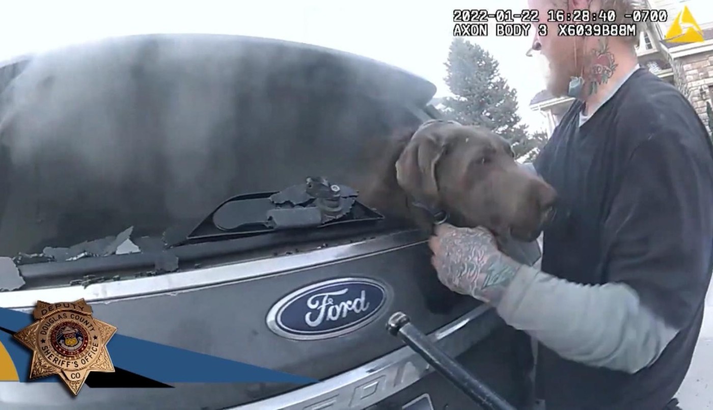 Video: el momento en que salvan a un perro atrapado en un auto prendido fuego | Internacionales