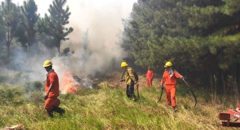 Brigadistas combaten focos activos de incendios forestales en Río Negro y Corrientes | Clima, naturaleza y medio ambiente