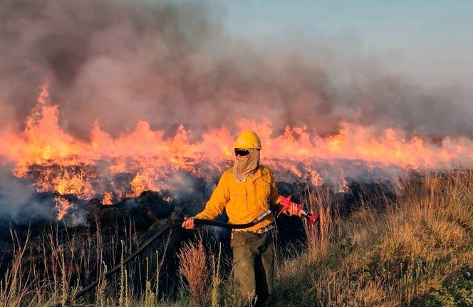 Incendios en Corrientes: hay más de 500 mil hectáreas afectadas y evacuan viviendas | Actualidad