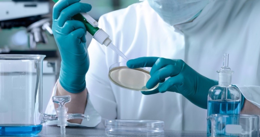 Expectativa por la primera vacuna argentina anticovid: estaría antes de fin de año | Actualidad