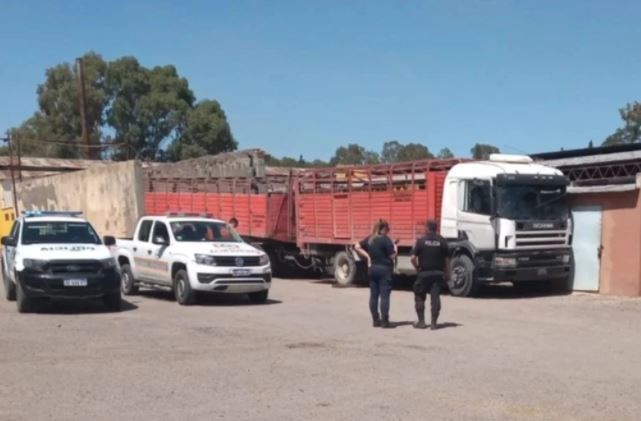 Un camionero murió aplastado tras chocar en el interior de un frigorífico en Bahía Blanca | Actualidad