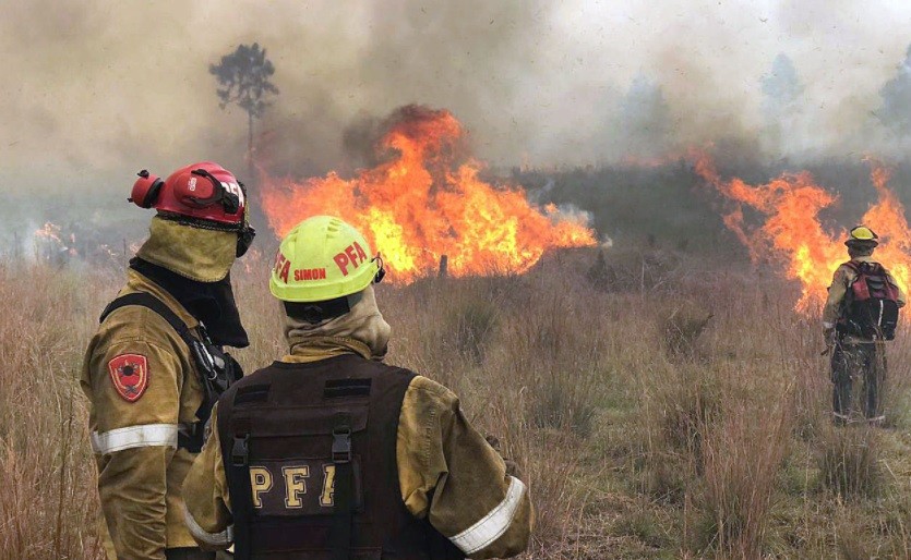 Drama en Corrientes: investigan 75 denuncias por incendios intencionales | Actualidad