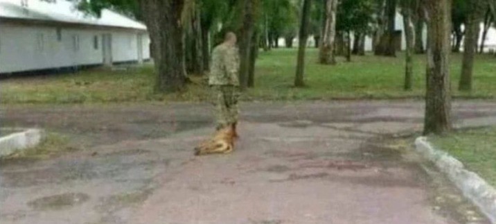 Denuncian que un militar ahorcó a un perro hasta matarlo | Actualidad