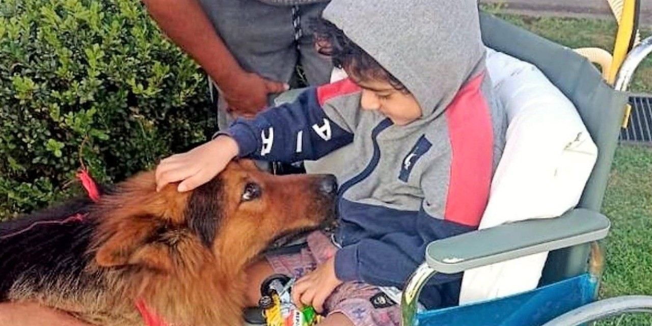 Terapia hospitalaria con las propias mascotas de los pacientes | Actualidad