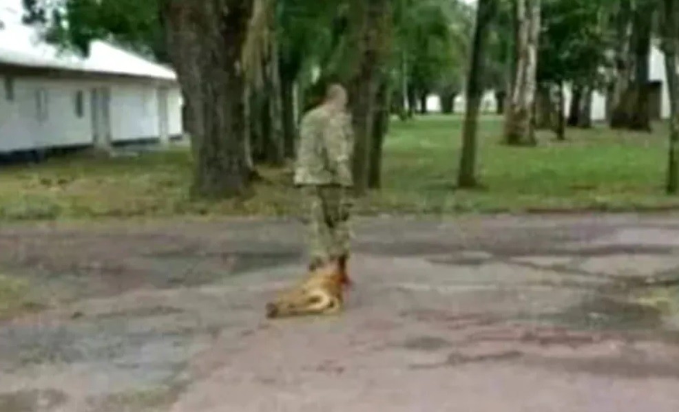 Hallaron muerto en un parque al militar acusado de matar a un perro | Actualidad