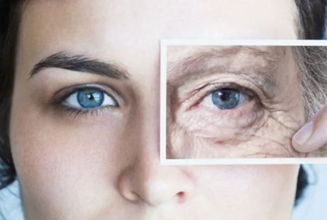 Afirman que cada órgano humano tiene su propio ritmo de envejecimiento | Internacionales