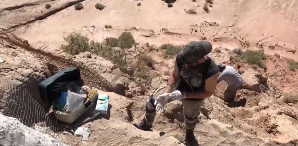 Hacía actividad física y se encontró con restos fósiles de un dinosaurio | Actualidad