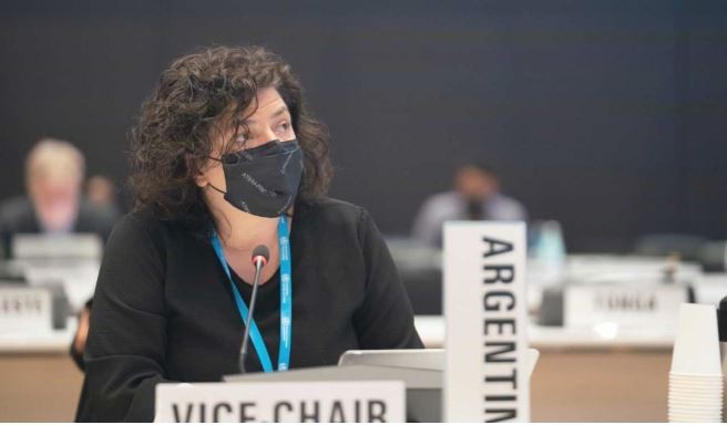 Vizzotti confirmó que hay más de un virus respiratorio en circulación e insistió en el uso del tapabocas | Actualidad