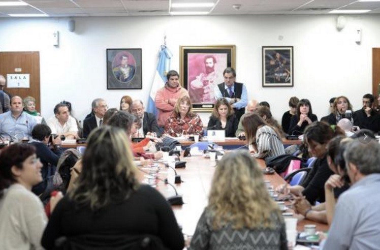 Diputados: reclaman que se avance con los proyectos de despenalización de cannabis para uso medicinal | Política