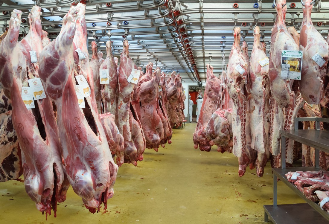 La Unión Europea aprobó la importación de carne fresca del norte argentino | Política