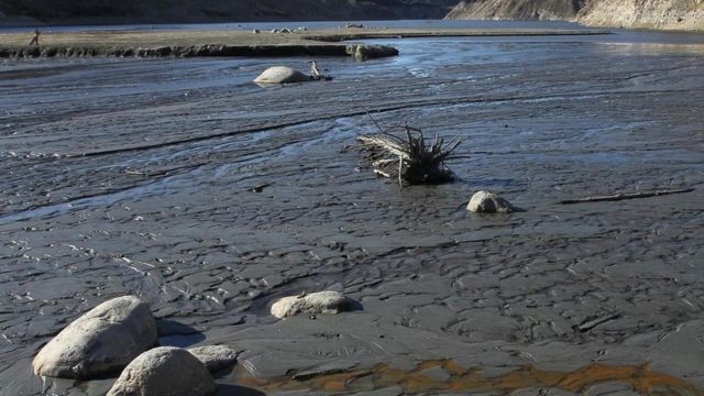 Día Mundial del Agua: Advierten sobre la disminución de los recursos de agua dulce | Clima, naturaleza y medio ambiente