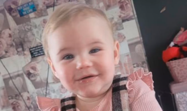 Adoptaron un perro y a la semana mató a su bebé de un año | Internacionales