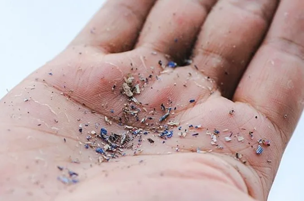Hallan por primera vez microplásticos en la sangre humana | Internacionales