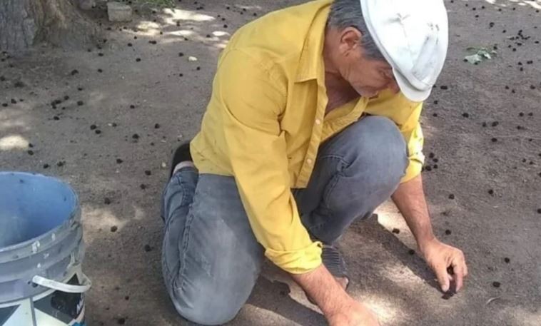 Un albañil demandará a su padre bodeguero por 100 millones de pesos | Actualidad