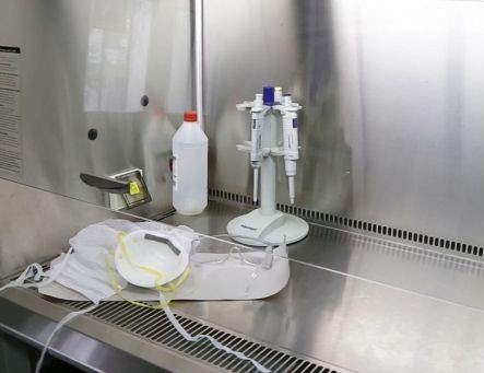 Salta sin casos de coronavirus en el último reporte | Actualidad