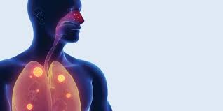 Fibrosis quística: Desarrollan medicamentos inhalables con antibióticos | Actualidad