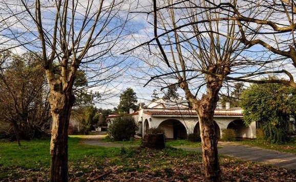 Según una junta médica, la hermana Alba presenta un "estado demencial moderado" | Política