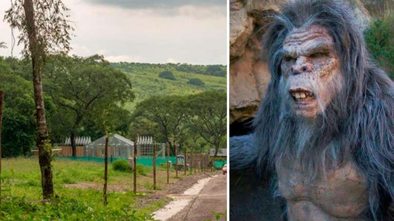 Salta: aseguran haber visto un "ucumar", un animal mítico del norte argentino | Actualidad