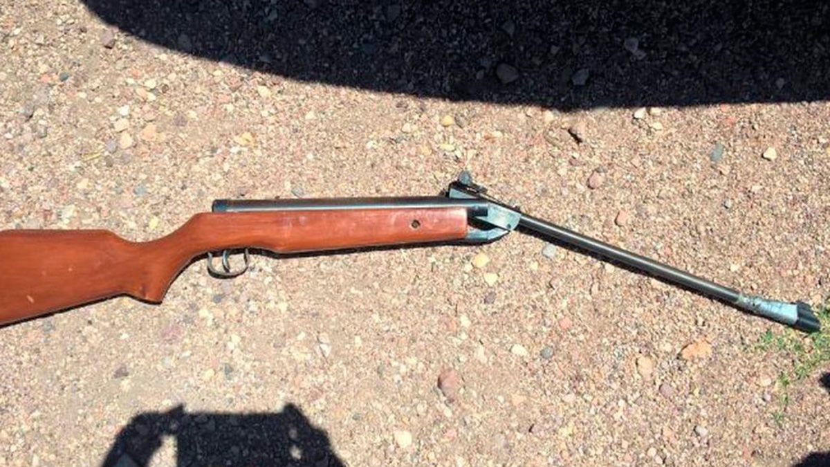 Hieren a un chofer de colectivo con un arma de aire comprimido en Mendoza | Actualidad