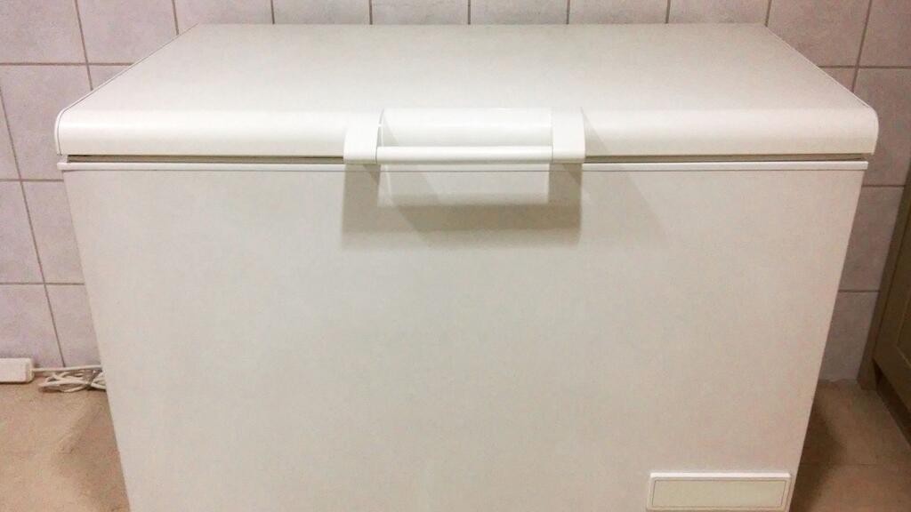 Vivía con su madre y dijo que no la veía hacía "mucho tiempo": apareció muerta en un freezer de la casa | Internacionales