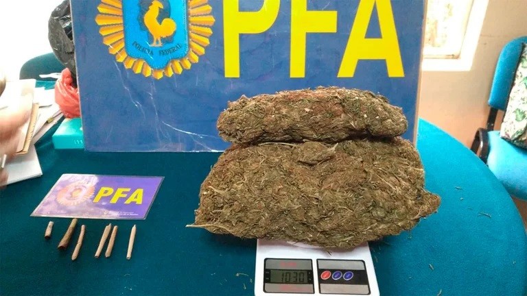 Incautaron un kilo de marihuana en un colegio: se sospecha que los alumnos tenían una cosecha dentro | Actualidad