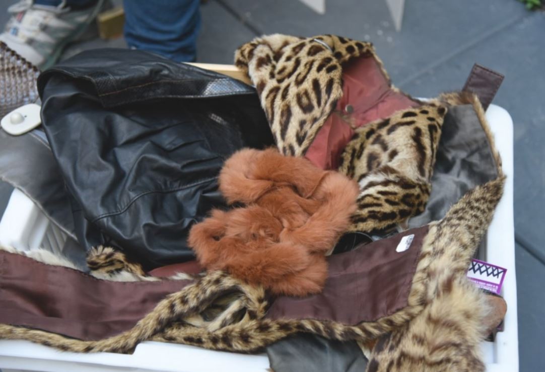 Secuestraron indumentaria realizada con cuero de animales en peligro de extinción | Actualidad