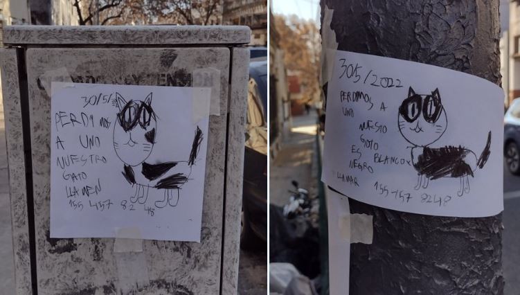 Un niño perdió a su gato e hizo carteles a mano para poder encontrarlo | Redes