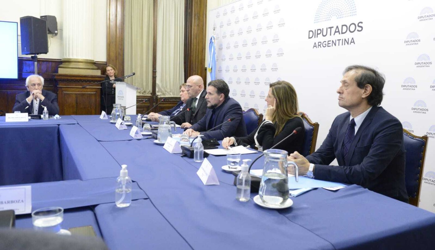 Diputados organizó la jornada "Esclerosis múltiple: escenario actual en Argentina" | Política