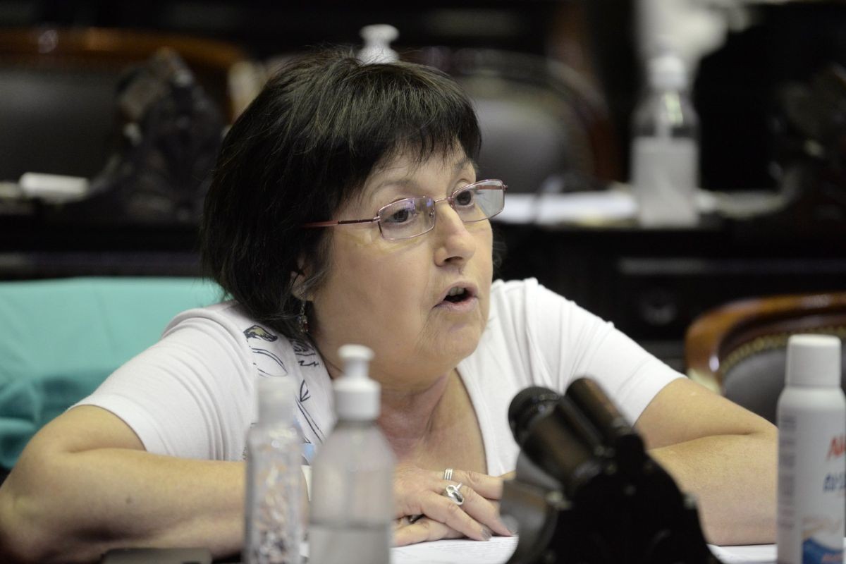 Gasoducto Néstor Kirchner: la oposición también presentó denuncia por irregularidades | Política