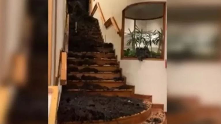 Alud de barro en un hotel de Bariloche: murió un turista y hay tres heridos | Actualidad