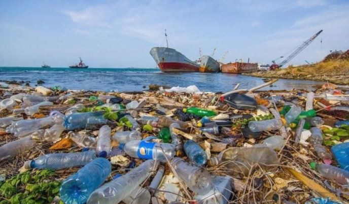 Ocho países de América Latina combatirán juntos la basura marina y los residuos plásticos | Clima, naturaleza y medio ambiente