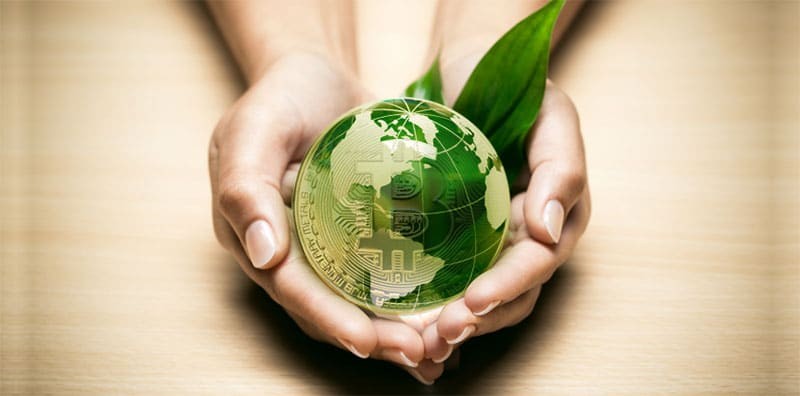 Cuál es el impacto ambiental de las criptomonedas | Clima, naturaleza y medio ambiente