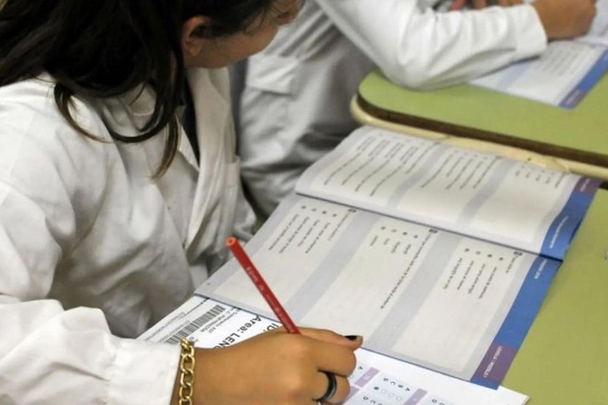 Aprender 2021: la pandemia profundizó las brechas de aprendizaje y cayeron 20 puntos porcentuales los resultados en Lengua | Actualidad