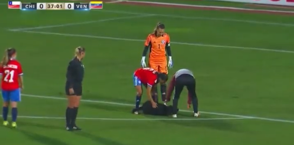 El perro que enterneció el amistoso entre Chile y Venezuela | Mejores Videos