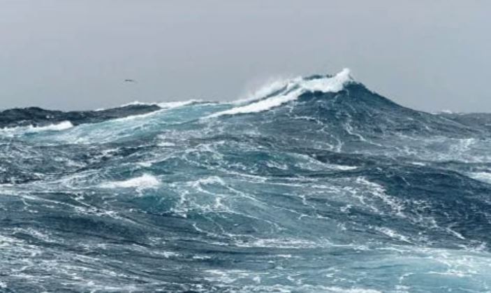 Cambio climático en el mar: Argentina participa de la Conferencia sobre los Océanos de las Naciones Unidas | Clima, naturaleza y medio ambiente