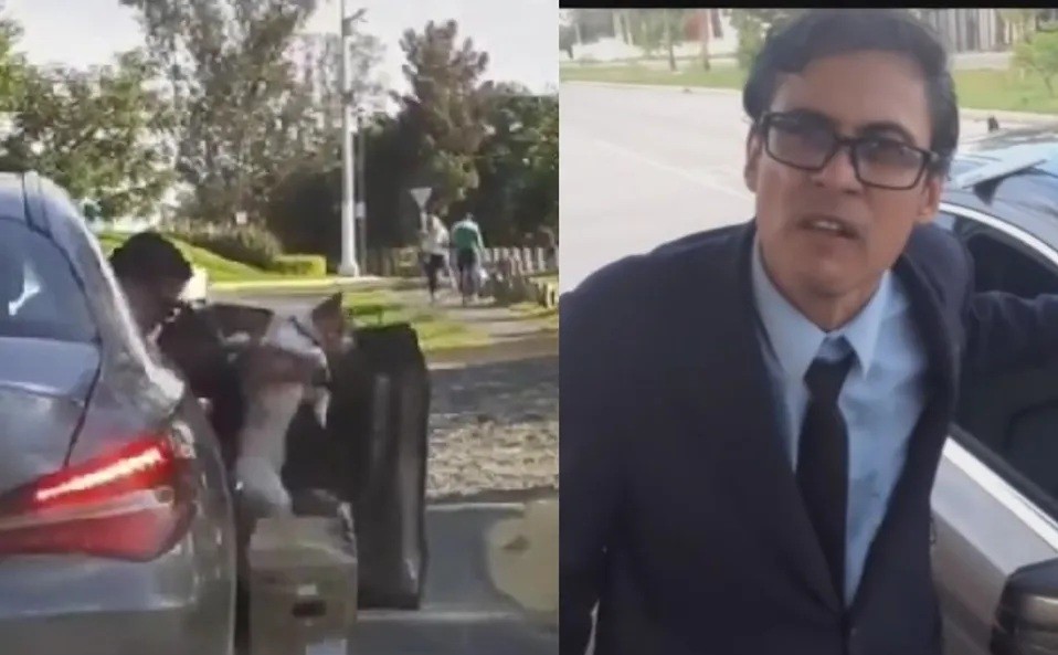 Video: captan a un hombre abandonando a un cachorro y lo increpan | Redes