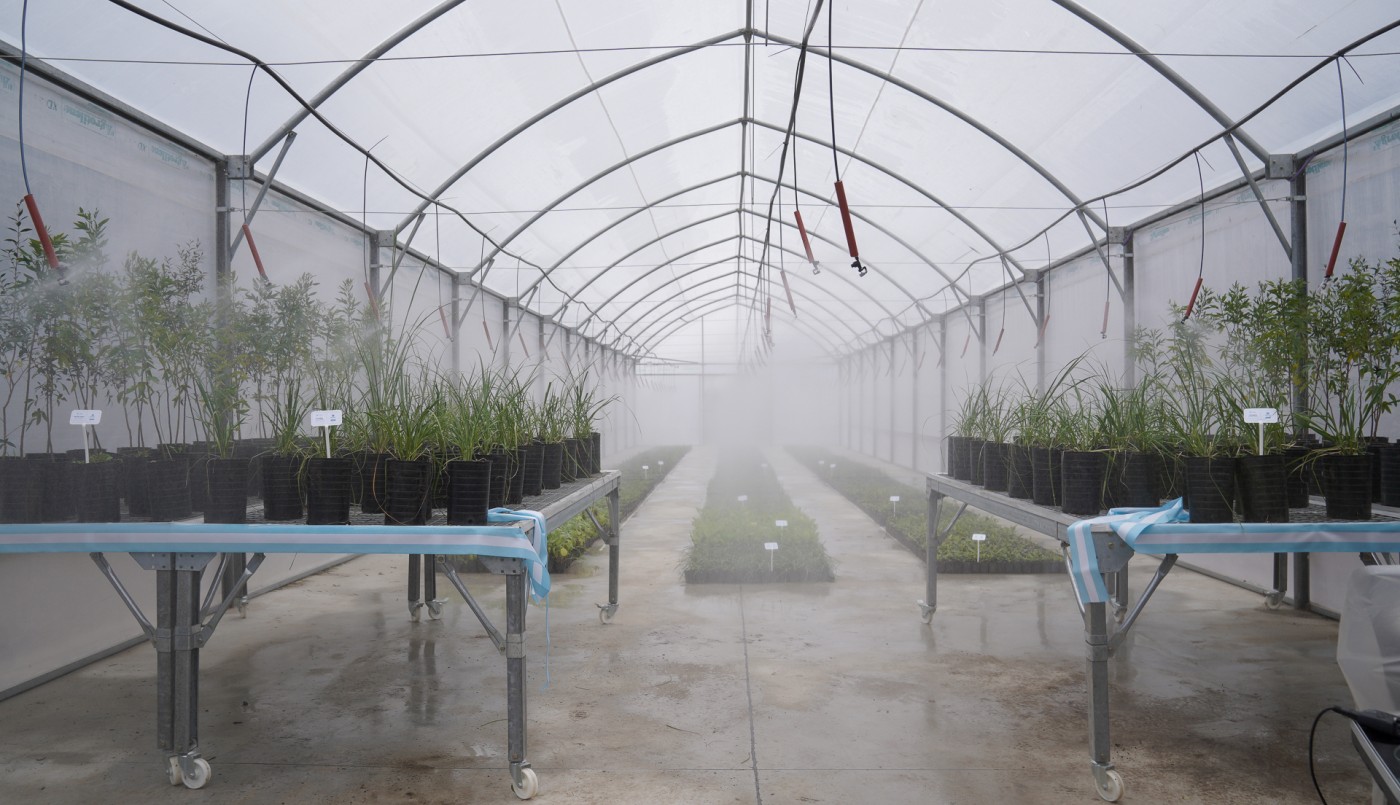 Inauguraron en el complejo ambiental del Ceamse el invernadero "Azucena Villaflor" | Actualidad