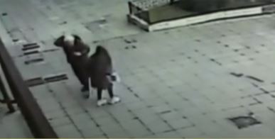 Guillermo Coppola recibió un palazo en la cabeza mientras se tomaba una selfie con una fan | Actualidad