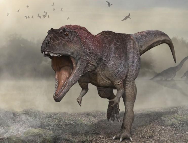 Meraxes Gigas: presentaron un nuevo dinosaurio carnívoro gigante hallado en la Argentina | Actualidad