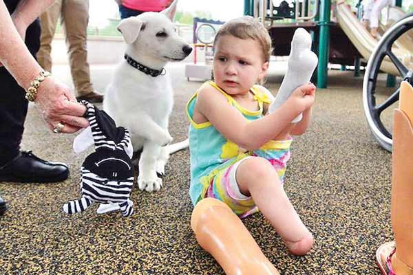 Una nena amputada adoptó a un cachorro sin una pata | Curiosidades