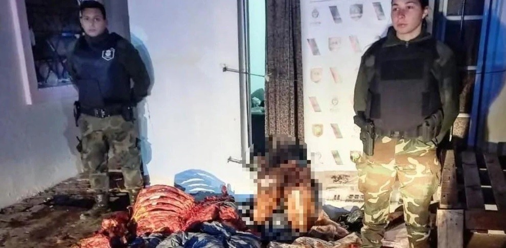 Hamburguesas de caballo: clausuraron un matadero clandestino en González Catán | Actualidad