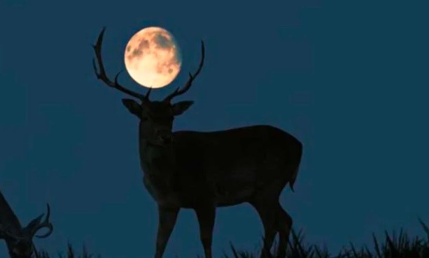 Superluna de ciervo 2022: Por qué se llama así y a qué hora verla | Actualidad
