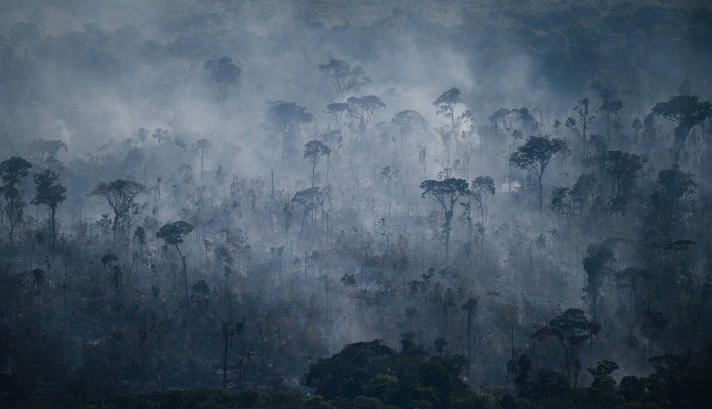Los incendios en la Amazonia brasileña aumentaron 8% en julio: hubo más de 5.000 focos en la región | Clima, naturaleza y medio ambiente