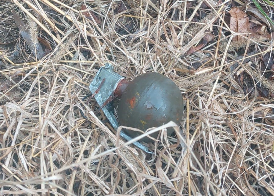 Detonan una granada de mano tras ser hallada en el patio de una vivienda en Bahía Blanca | Actualidad