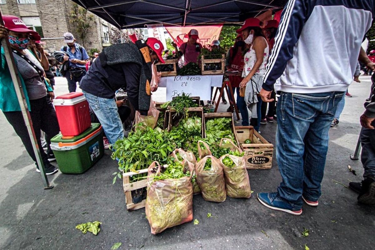 "Feriazo" frente al Congreso para pedir el tratamiento de leyes agrícolas | Actualidad